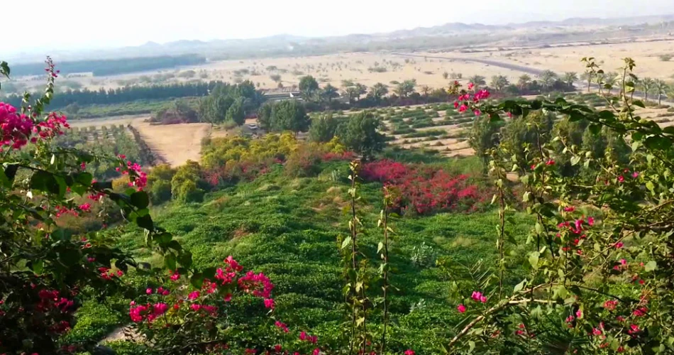 10 Lesser-Known Facts About Jeddah That'll Amaze You